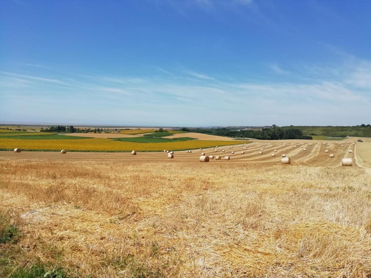 Chateau Des Salles Saint-Fort-sur-Gironde Eksteriør billede