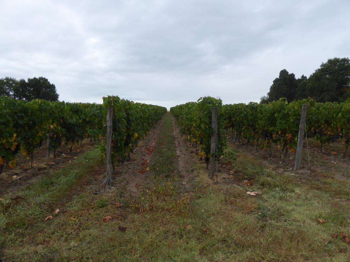 Chateau Des Salles Saint-Fort-sur-Gironde Eksteriør billede