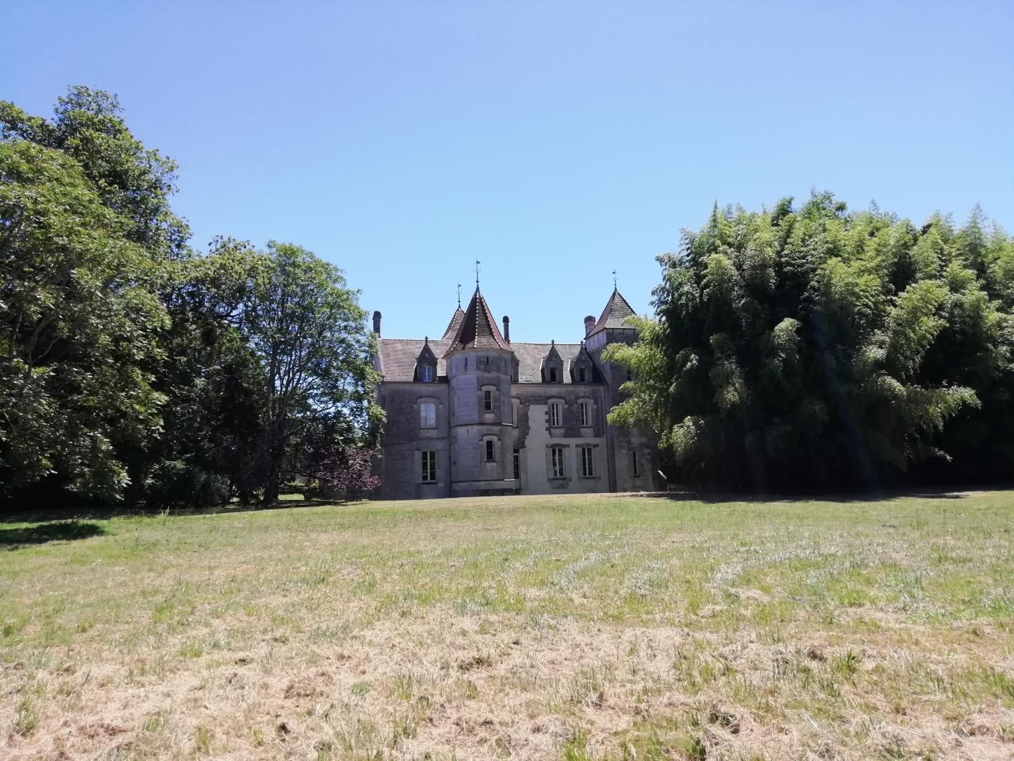 Chateau Des Salles Saint-Fort-sur-Gironde Eksteriør billede